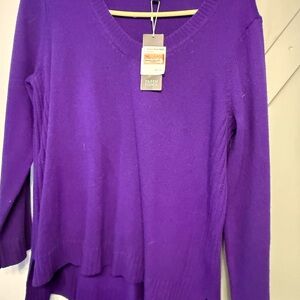 Eileen Fisher Vibrant Purple V-Neck Sweater